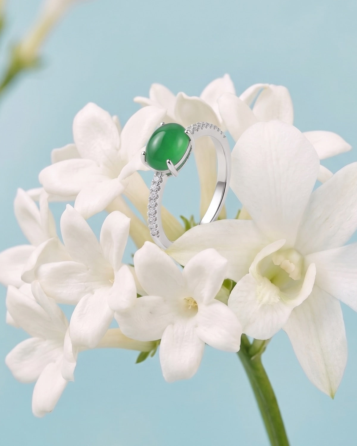 翠映翡翠戒指｜Emerald Éclat Jade Ring